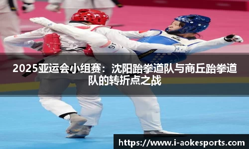 2025亚运会小组赛：沈阳跆拳道队与商丘跆拳道队的转折点之战